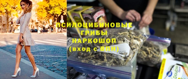 дурь Алексин